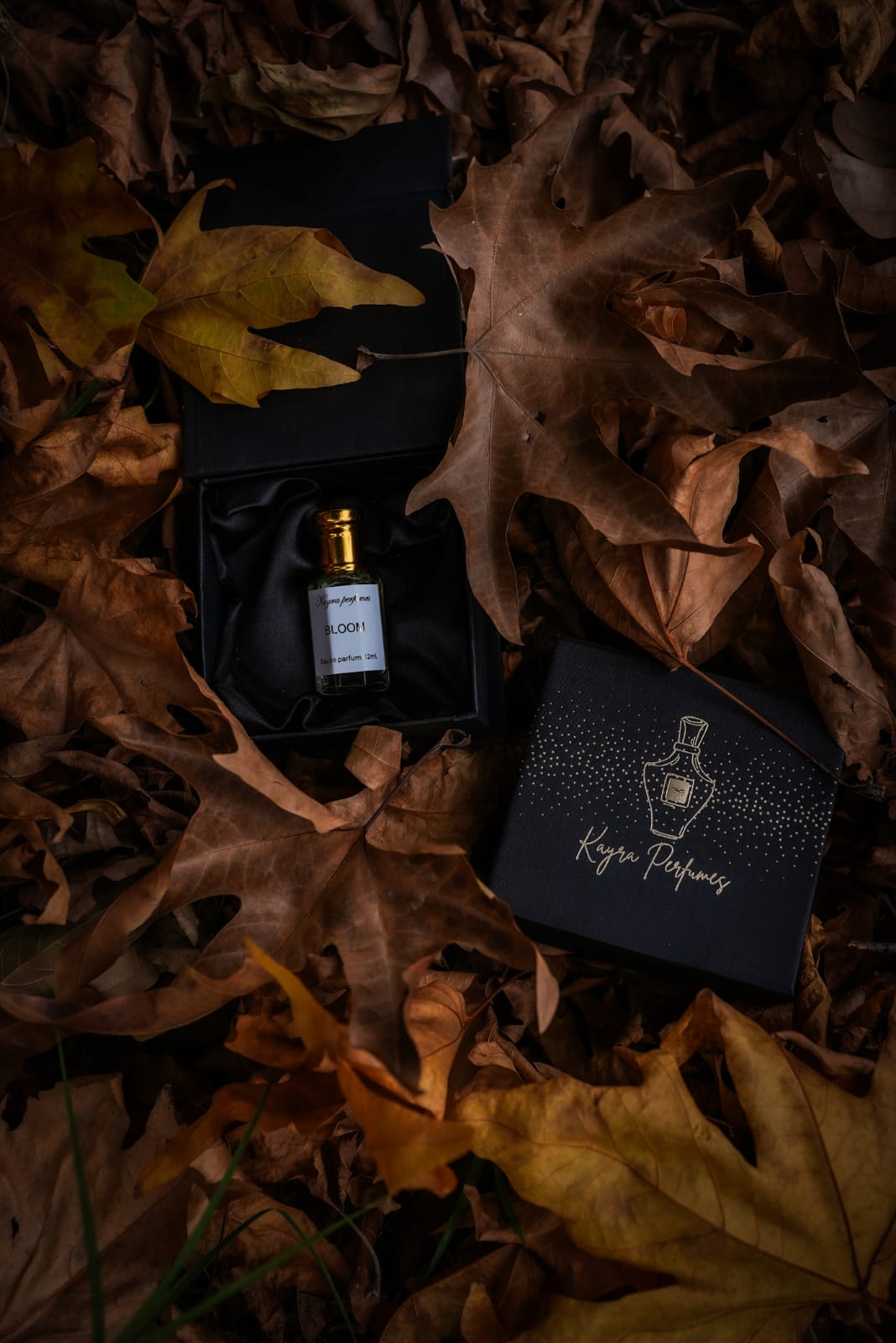 Kayra Perfumes Bloom eau de parfum bottle in its black box among autumn leaves